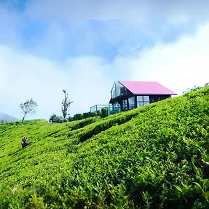Hotel The Blackberry, Nuwara Eliya
