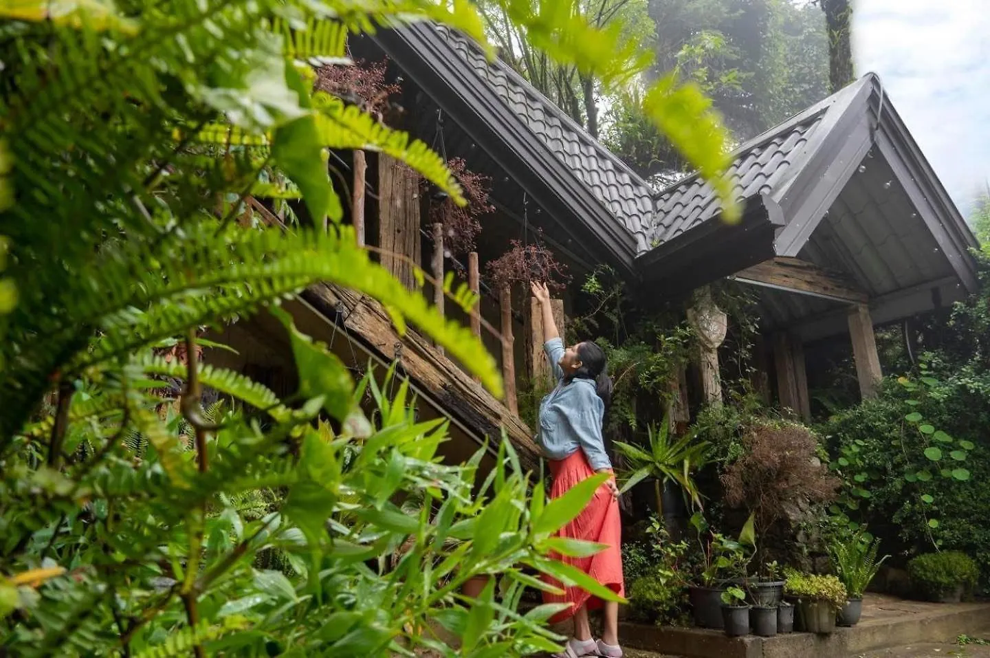 Villa 47 Nuwara Eliya Hotel
