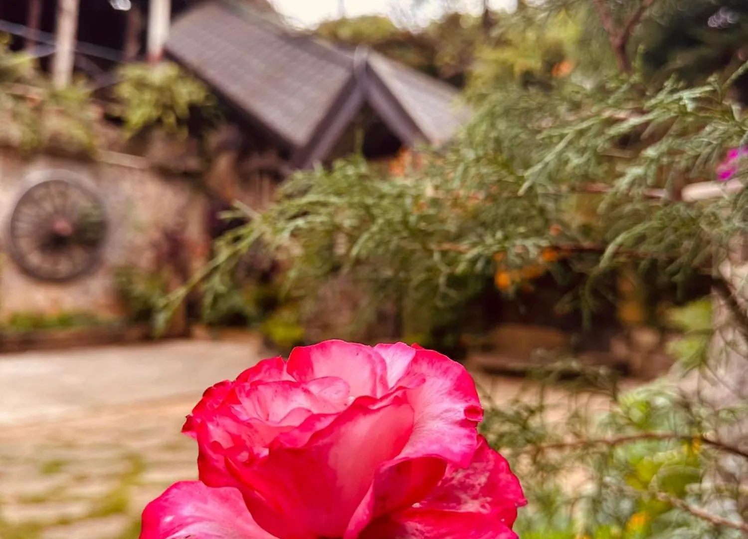 Hotel Villa 47 Nuwara Eliya